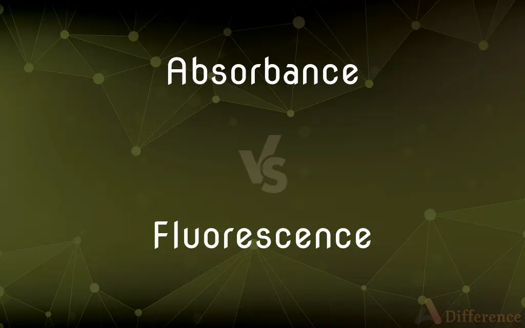 Absorbance vs. Fluorescence — What's the Difference?