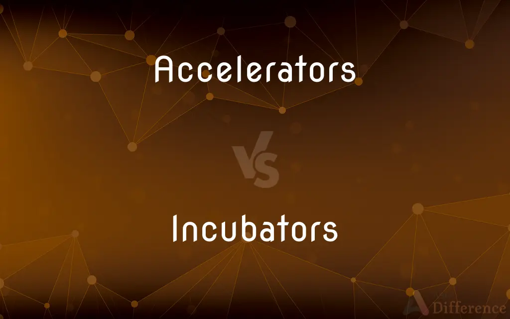 Accelerators vs. Incubators — What's the Difference?