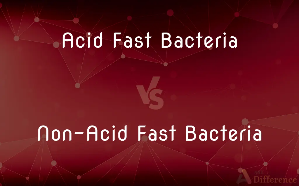 Acid Fast Bacteria Vs Non Acid Fast Bacteria — Whats The Difference 9501