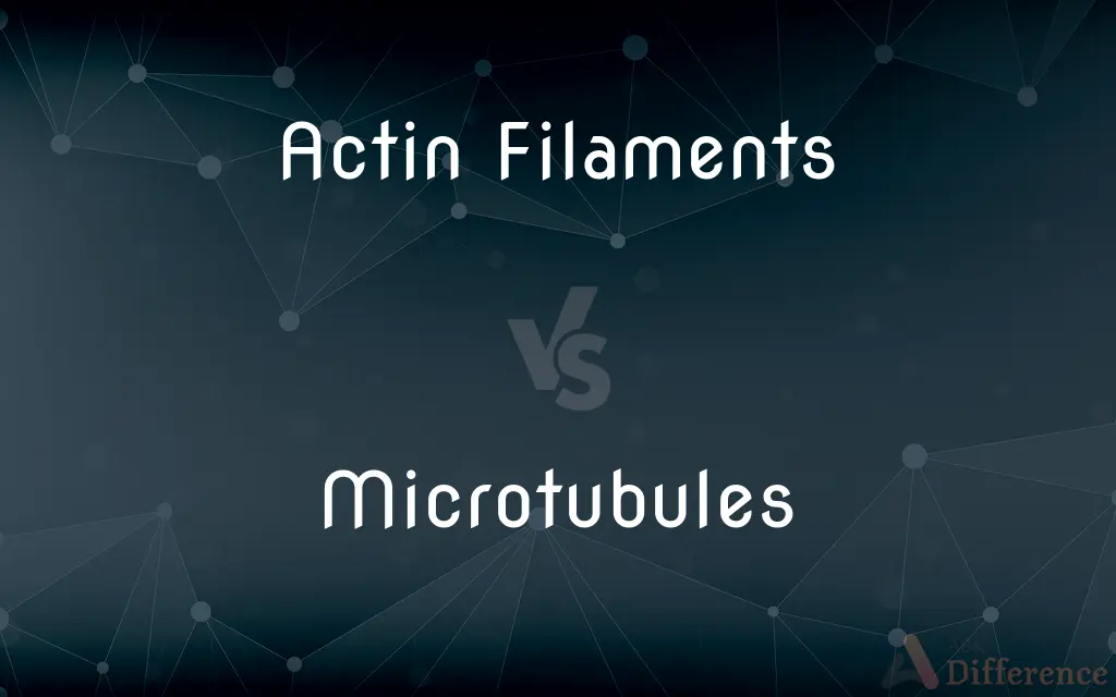 Actin Filaments vs. Microtubules — What's the Difference?