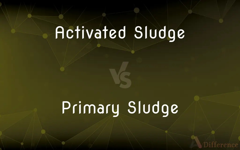 Activated Sludge vs. Primary Sludge — What's the Difference?