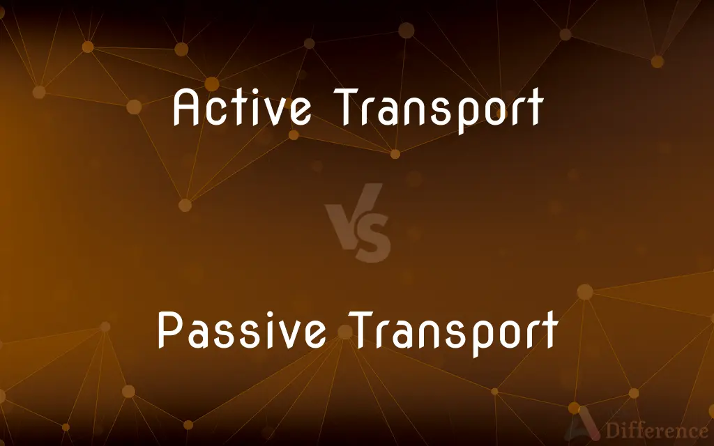 Active Transport vs. Passive Transport — What's the Difference?