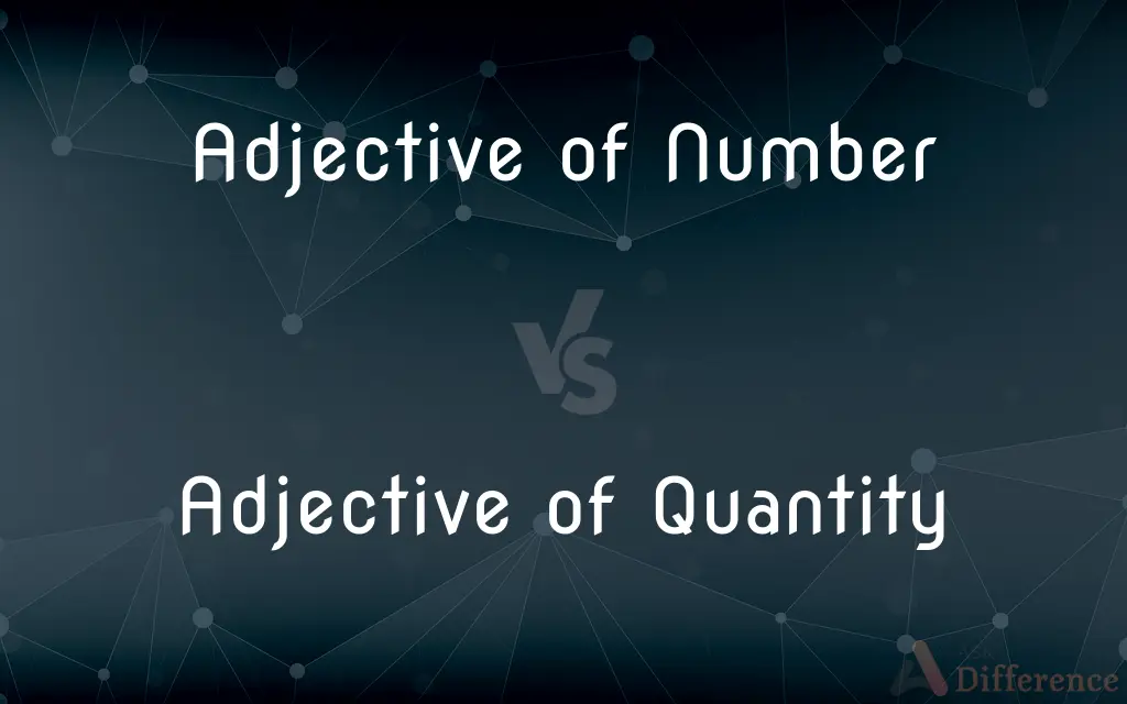 Adjective of Number vs. Adjective of Quantity — What's the Difference?