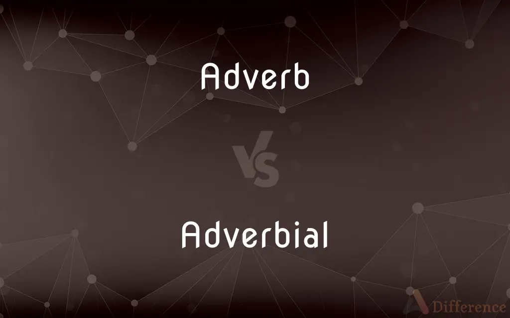Adverb vs. Adverbial — What's the Difference?