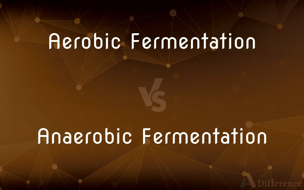 Aerobic Fermentation vs. Anaerobic Fermentation — What's the Difference?