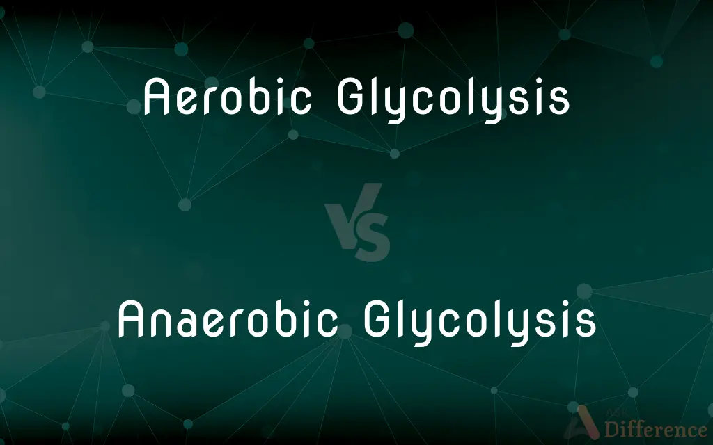 Aerobic Glycolysis vs. Anaerobic Glycolysis — What's the Difference?