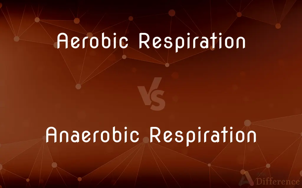 Aerobic Respiration vs. Anaerobic Respiration — What's the Difference?