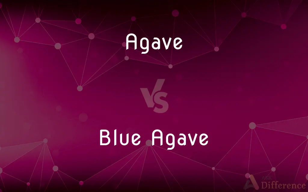 Agave Vs Blue Agave 145663.webp