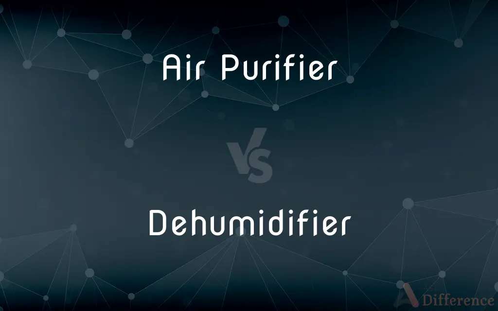 Air Purifier vs. Dehumidifier — What's the Difference?