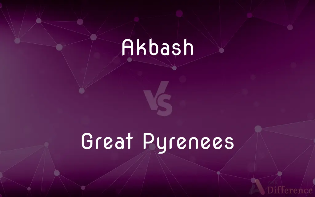 Akbash vs. Great Pyrenees — What's the Difference?
