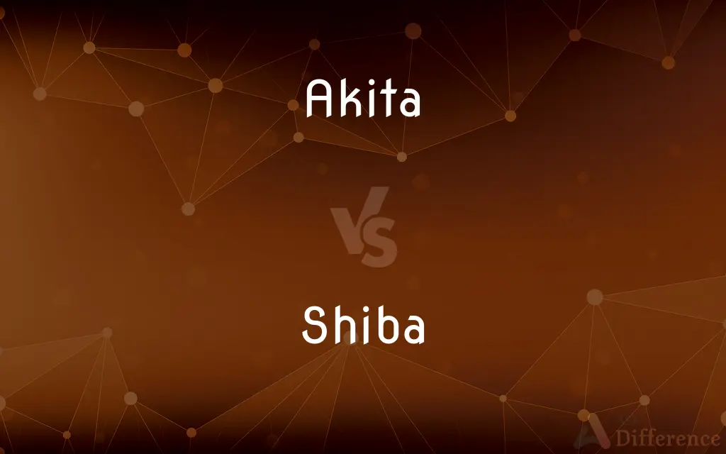 Akita vs. Shiba — What's the Difference?