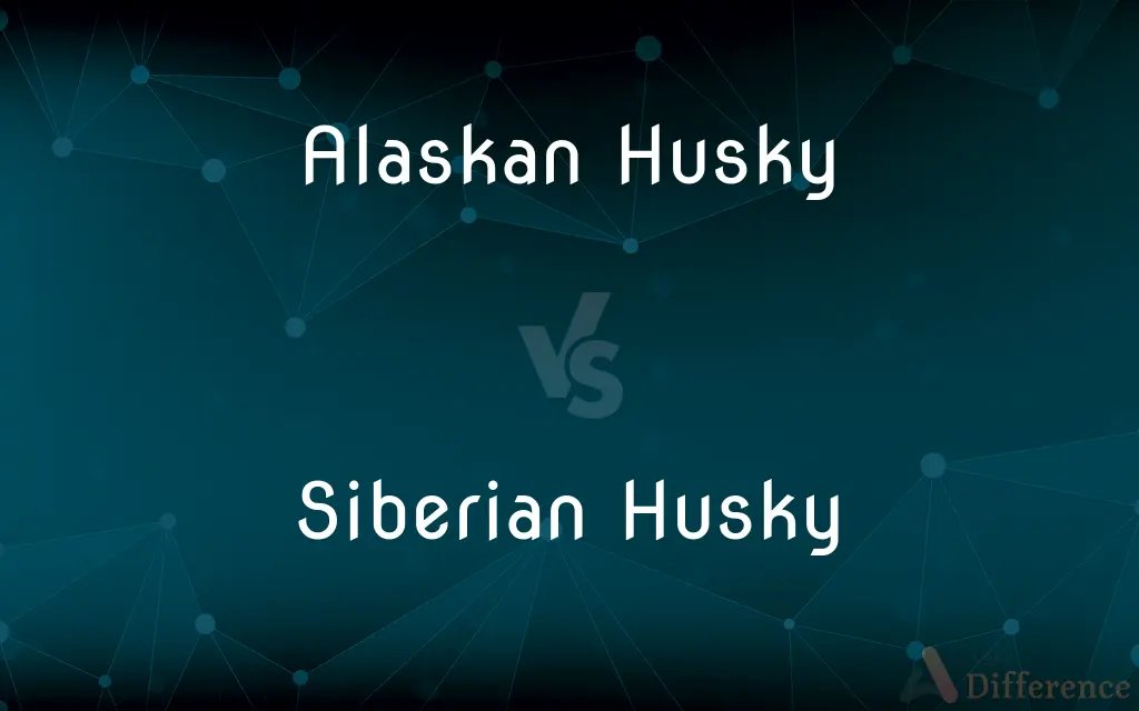 Alaskan Husky vs. Siberian Husky — What's the Difference?