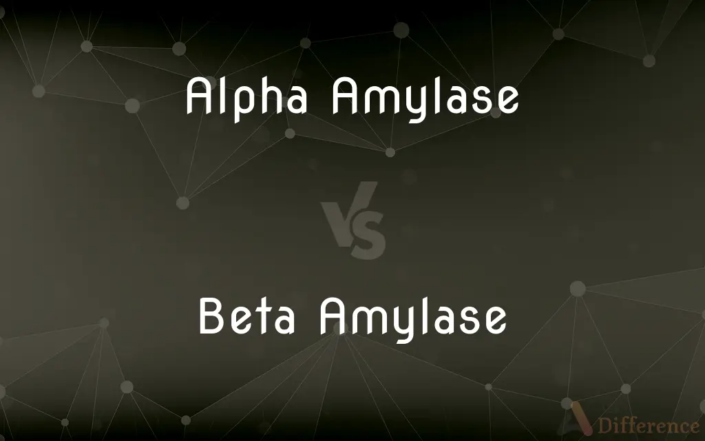 Alpha Amylase vs. Beta Amylase — What's the Difference?