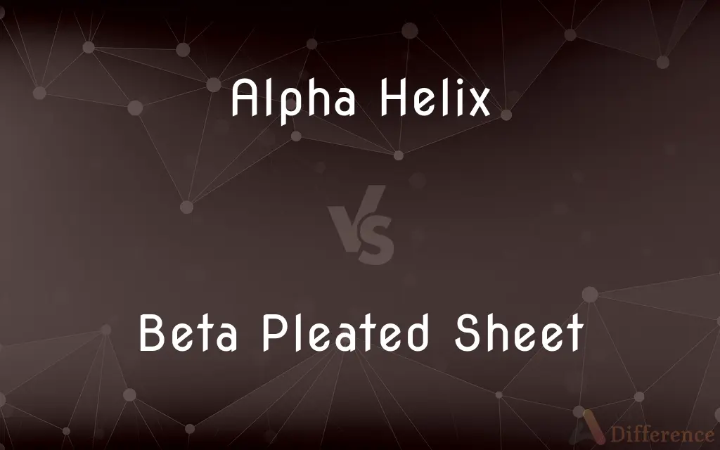 Alpha Helix vs. Beta Pleated Sheet — What's the Difference?