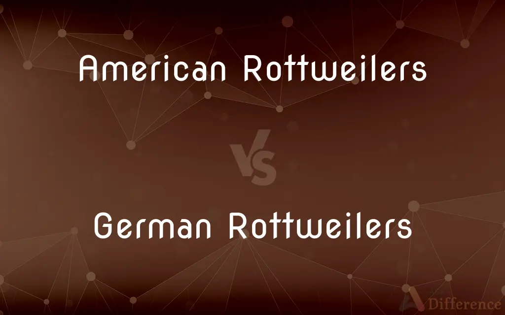 American Rottweilers vs. German Rottweilers — What's the Difference?