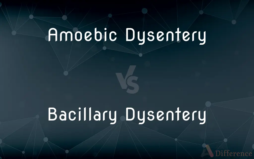 Amoebic Dysentery vs. Bacillary Dysentery — What's the Difference?