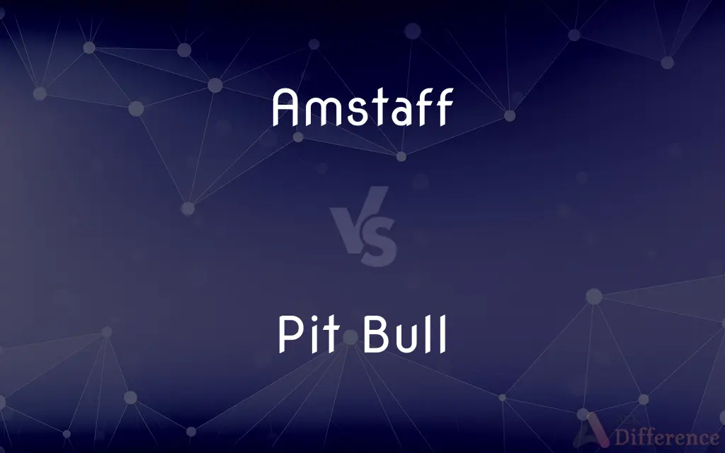 Amstaff vs. Pit Bull — What's the Difference?