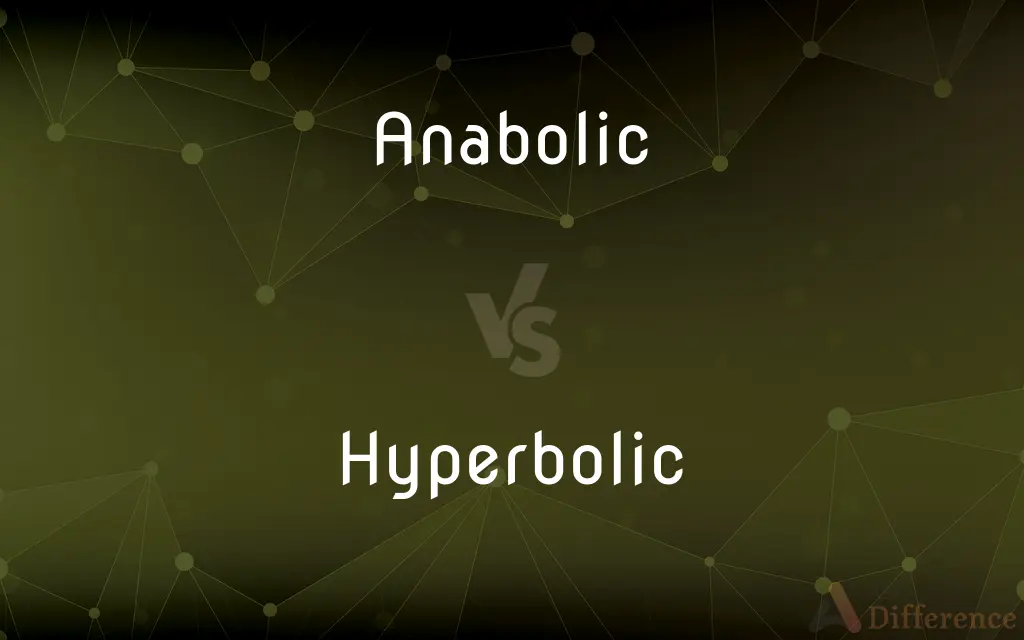 Anabolic vs. Hyperbolic — What's the Difference?