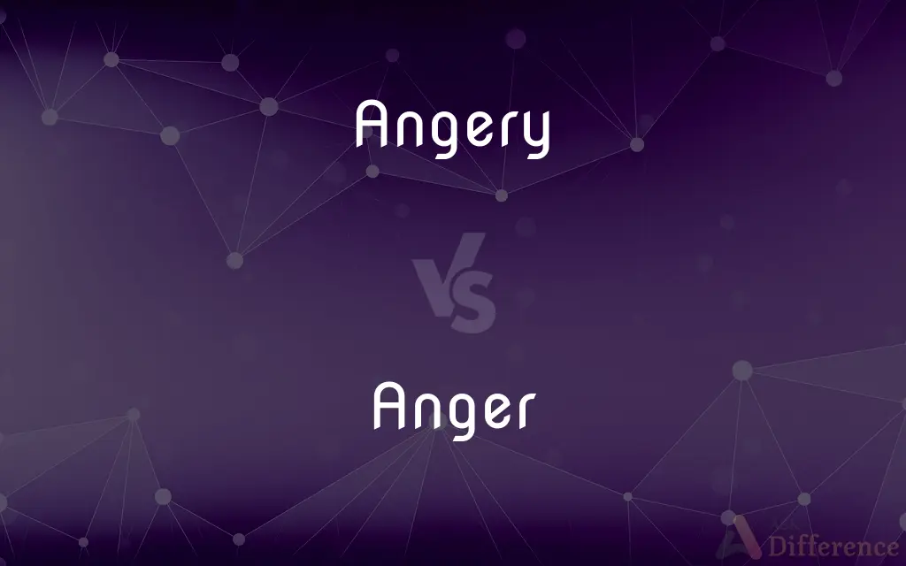 Angery vs. Anger — What's the Difference?