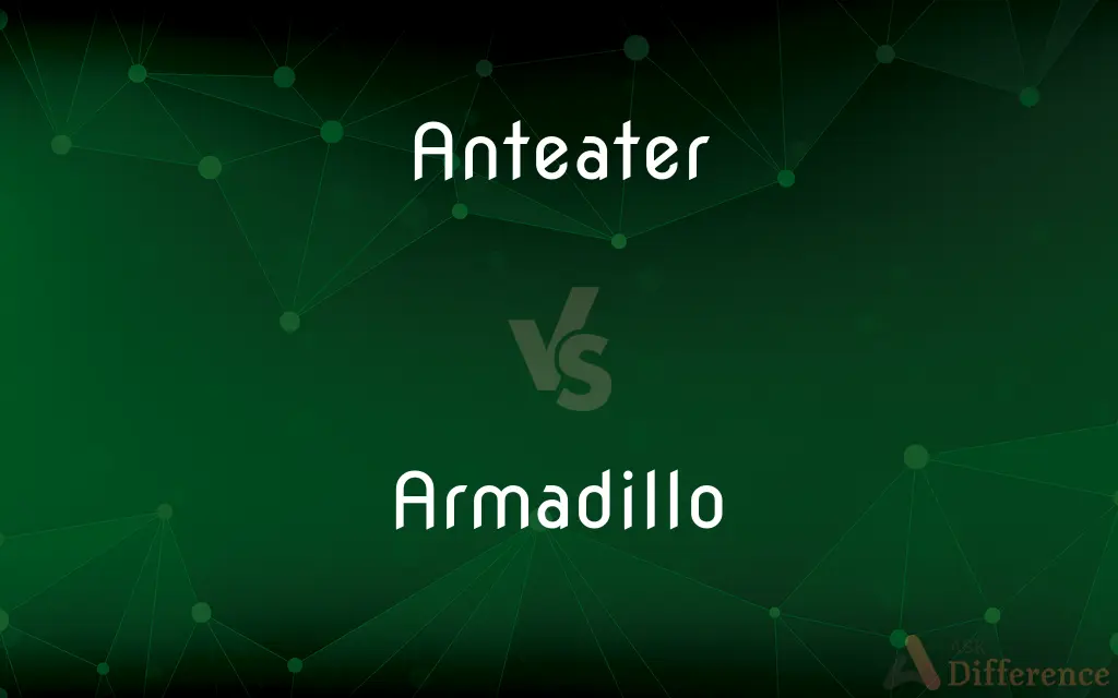 Anteater vs. Armadillo — What's the Difference?