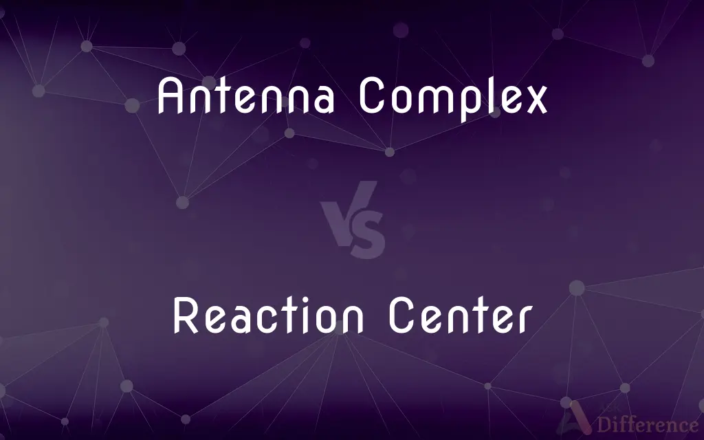 Antenna Complex vs. Reaction Center — What's the Difference?