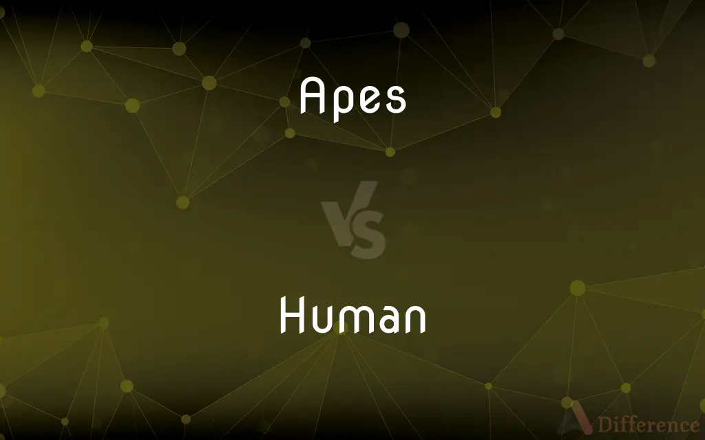 Apes vs. Human — What's the Difference?