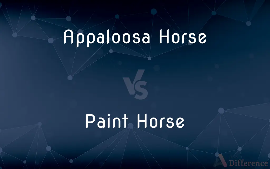 Appaloosa Horse vs. Paint Horse — What's the Difference?