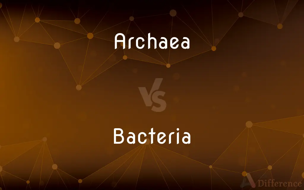 Archaea vs. Bacteria — What's the Difference?