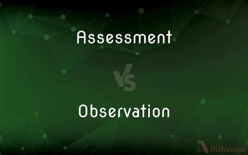 Assessment vs. Observation — What's the Difference?