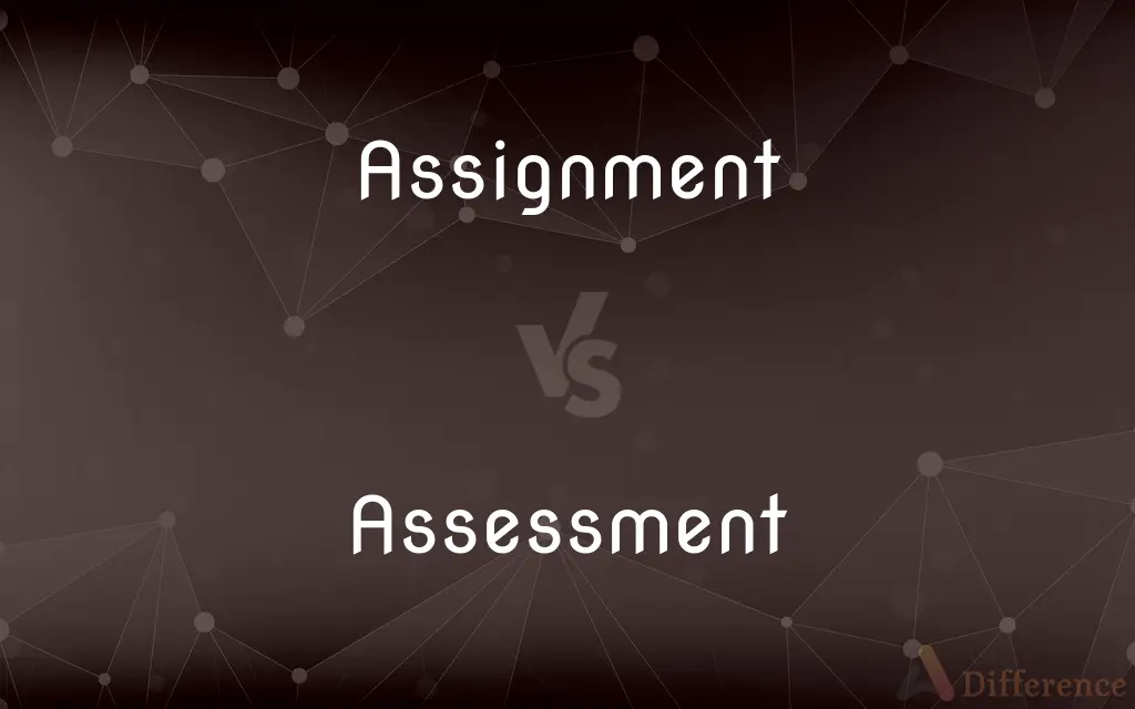 assessment vs assignment