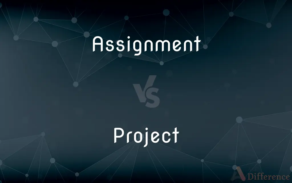 difference between assignment and project in school