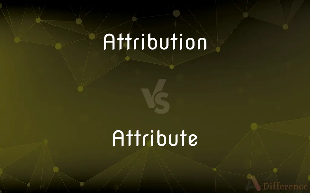 Attribution vs. Attribute — What's the Difference?