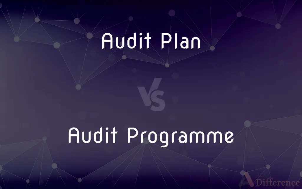 Audit Plan vs. Audit Programme — What's the Difference?