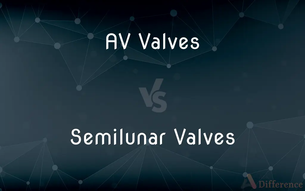 AV Valves vs. Semilunar Valves — What's the Difference?