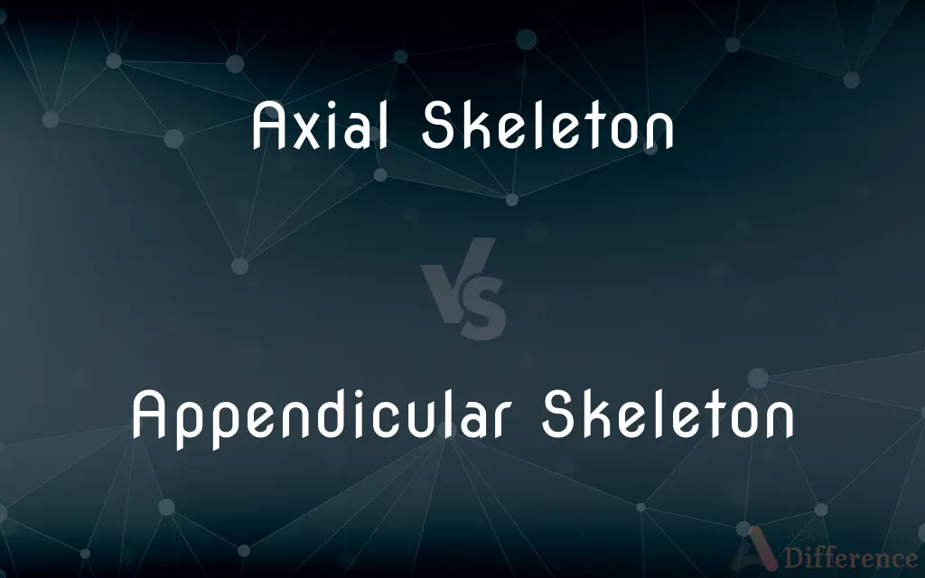 Axial Skeleton vs. Appendicular Skeleton — What's the Difference?