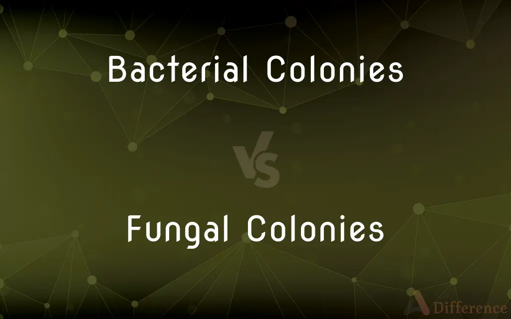 Bacterial Colonies vs. Fungal Colonies — What's the Difference?