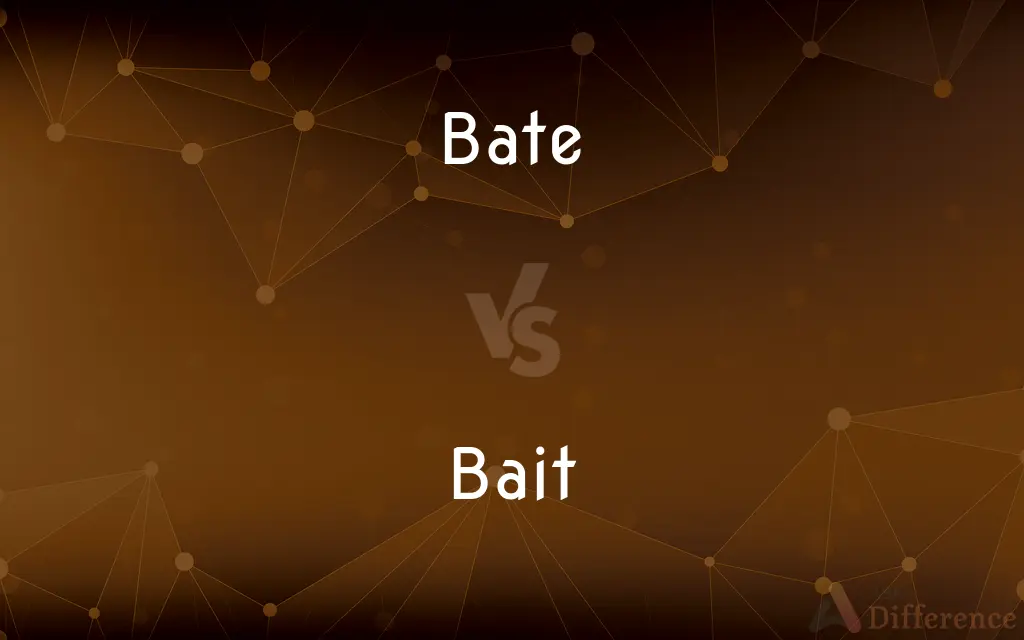 Bate Vs Bait What s The Difference 