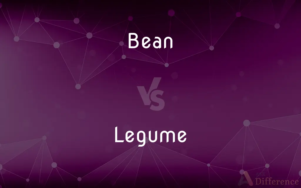 Bean vs. Legume — What's the Difference?