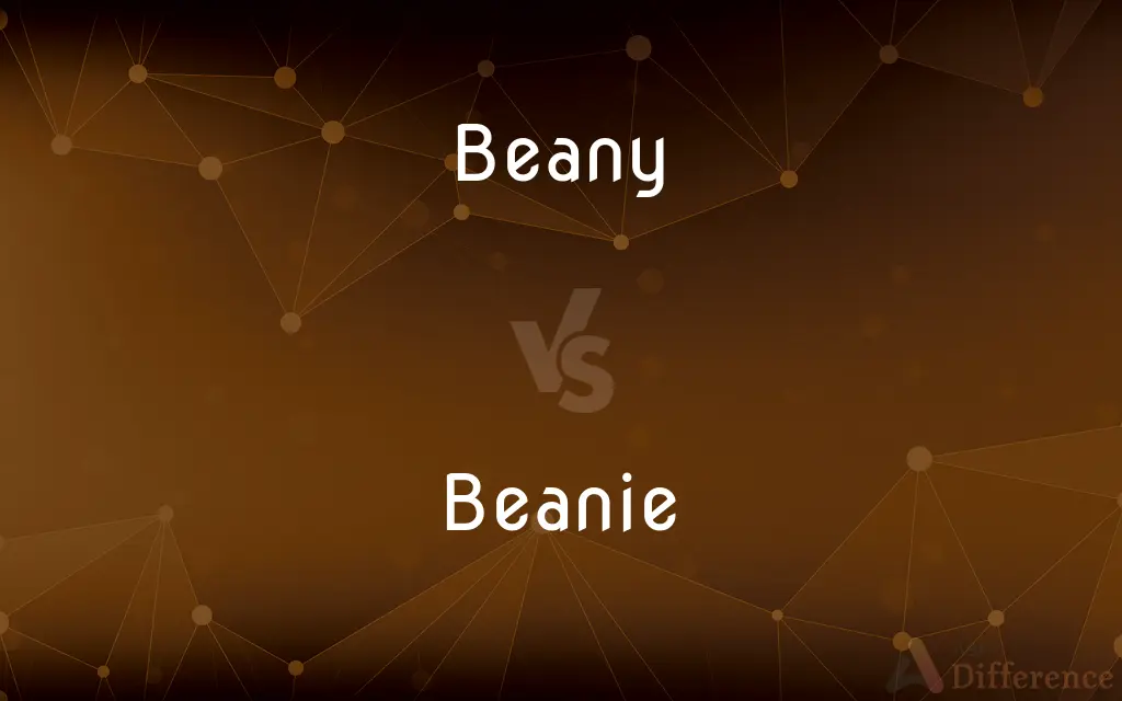 Beany vs. Beanie — Which is Correct Spelling?