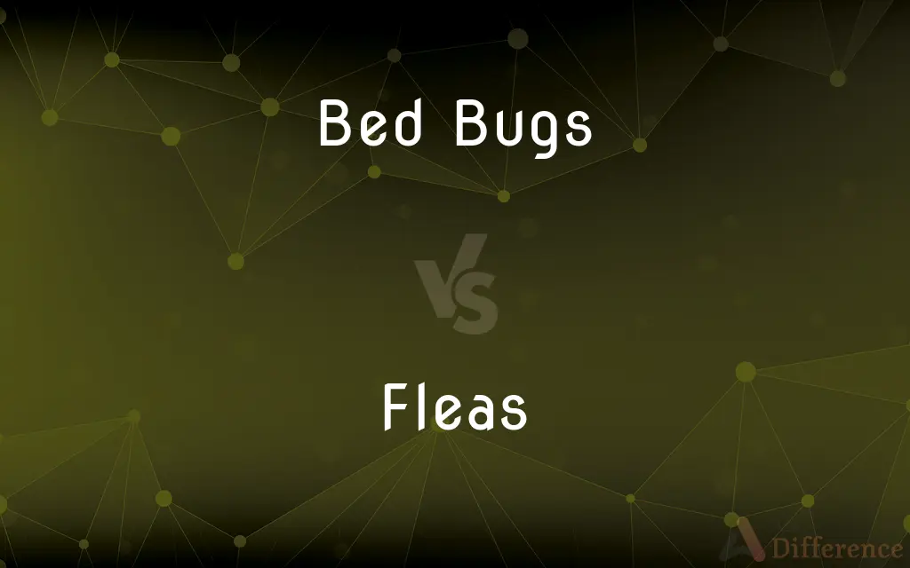 Bed Bugs vs. Fleas — What's the Difference?