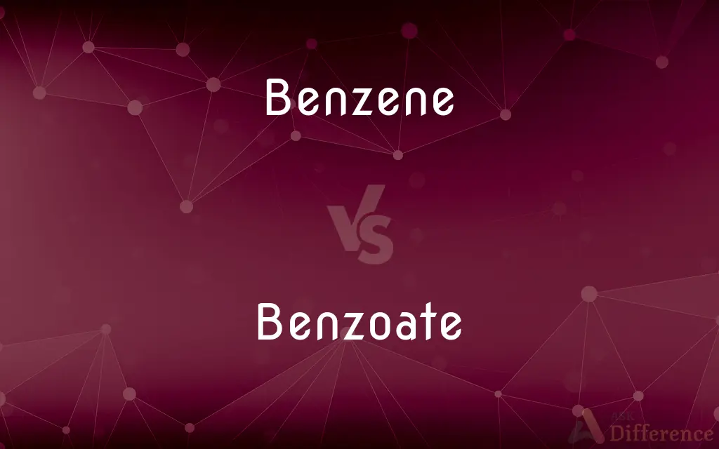 Benzene vs. Benzoate — What's the Difference?