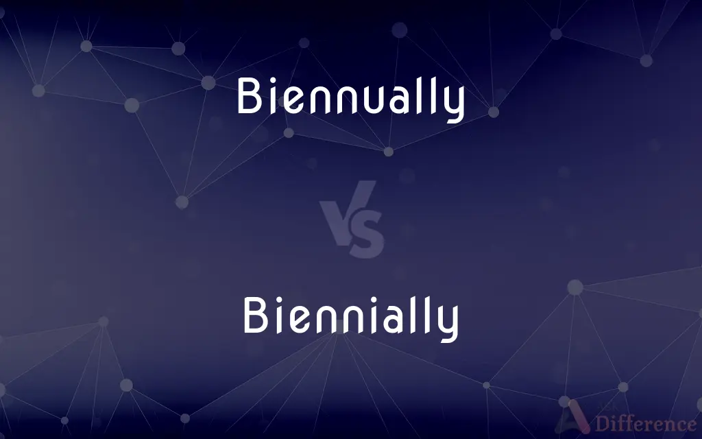 Biennually vs. Biennially — Which is Correct Spelling?