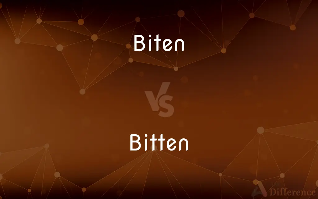 Biten vs. Bitten — Which is Correct Spelling?