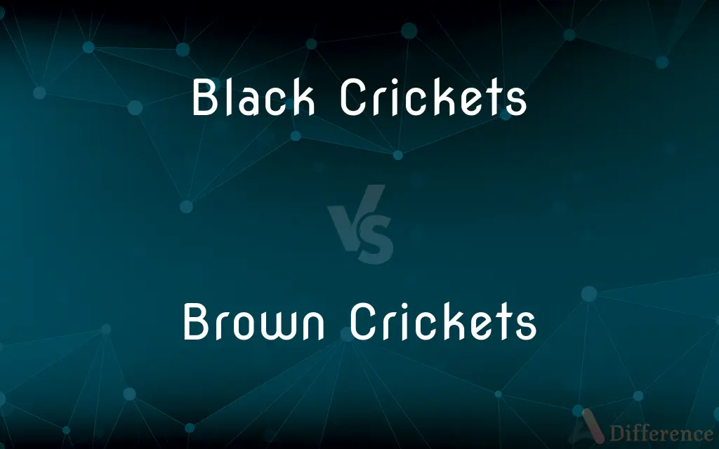 Black Crickets vs. Brown Crickets — What's the Difference?