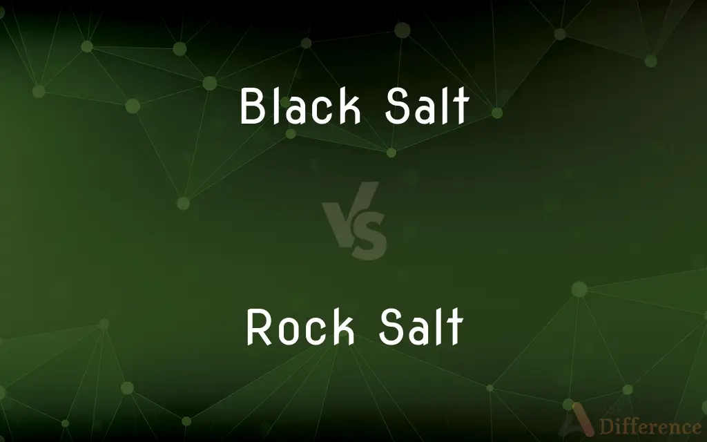 Black Salt vs. Rock Salt — What's the Difference?