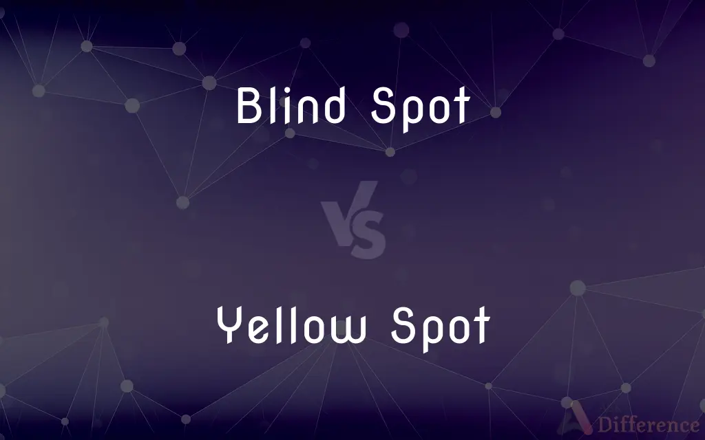 Blind Spot vs. Yellow Spot — What's the Difference?