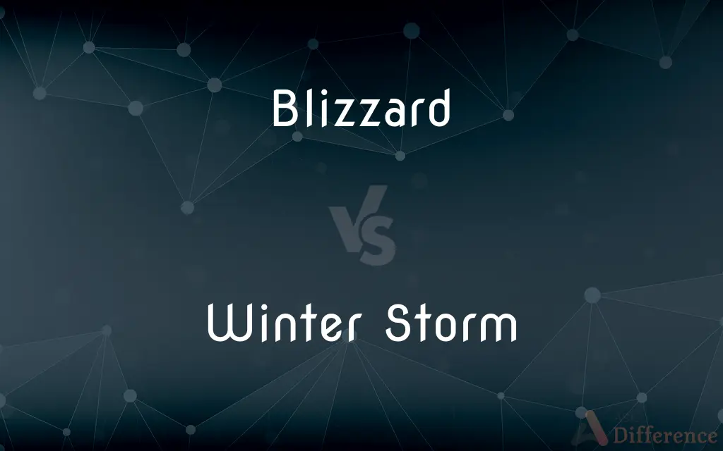 Blizzard vs. Winter Storm — What's the Difference?