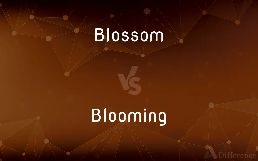 Blossom vs. Blooming — What's the Difference?