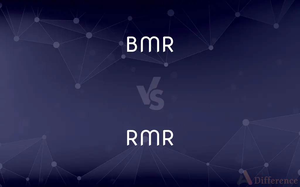 BMR vs. RMR — What's the Difference?