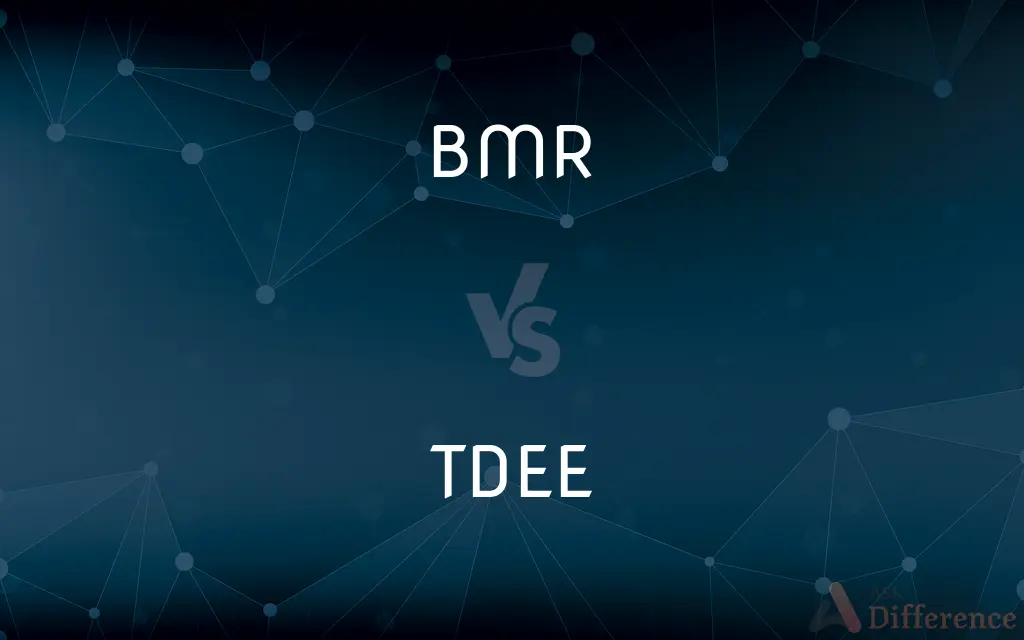 BMR vs. TDEE — What's the Difference?